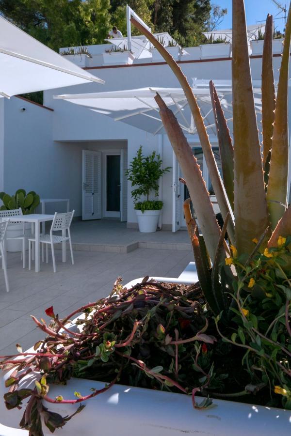 Map Enjoy Rooms San Vito Lo Capo Buitenkant foto
